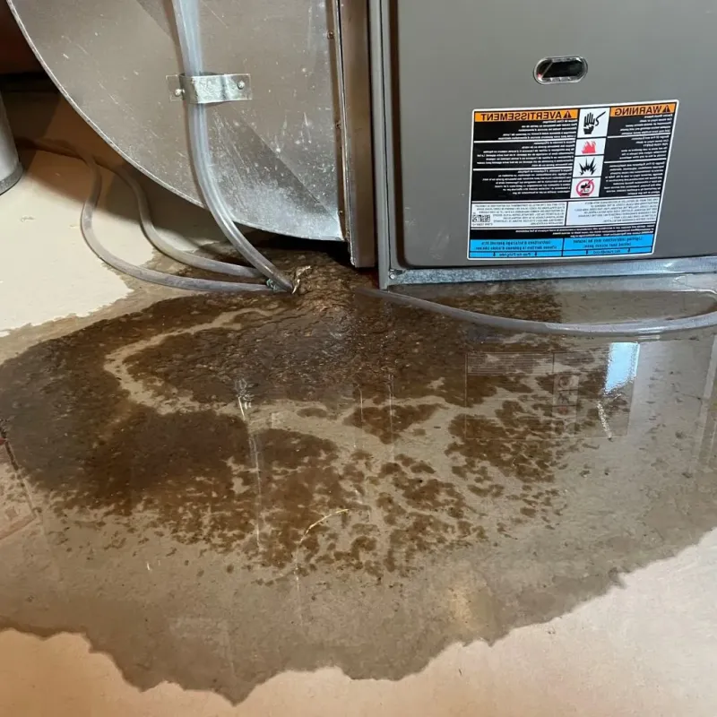 Pipe Burst and Leak Restoration in Swift County, MN