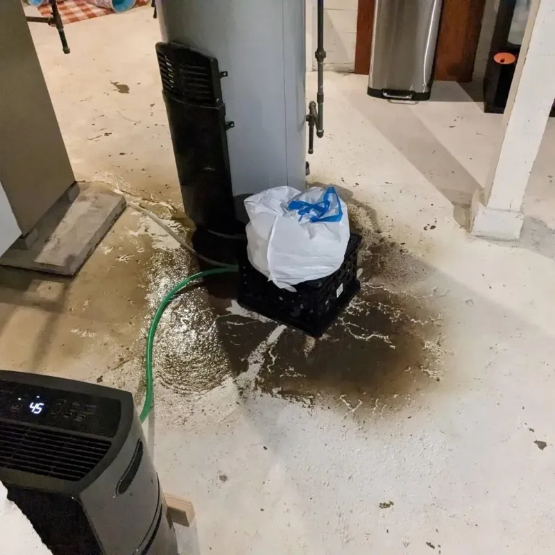Sewage Backup Cleanup Service in Swift County, MN